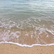 ムッチー