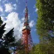 ma♡の画像