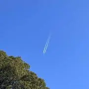 ヤヤの画像