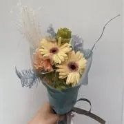 pの画像