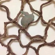 れんれなな