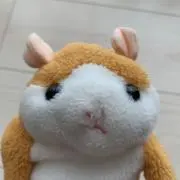 ノンタンの画像