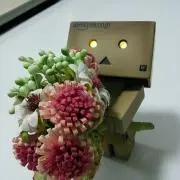 えみんどの画像