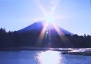 りんの画像