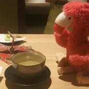 よーこの画像