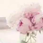 ぴおにー