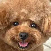 MONの画像