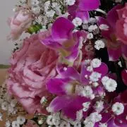 みーの画像