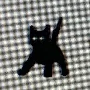 ꕤ*.゜の画像