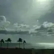 NKの画像