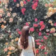りつの画像