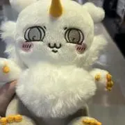 おさしみの画像