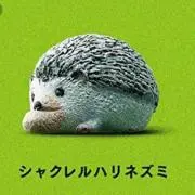 シャクレルハリネズミ