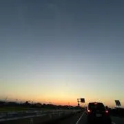 soyの画像