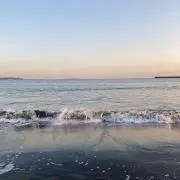 サンババの画像