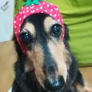 マリンの母