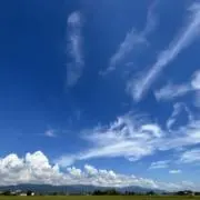 SSnetの画像