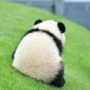 みぃの画像