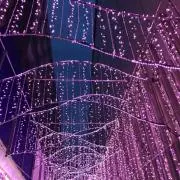 苺の画像