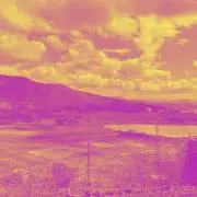 うさぎの画像