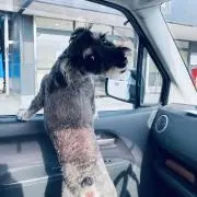 匿名希望