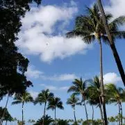 ALOHA♥️MAMIの画像