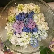 ななの画像