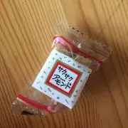 SATOKAWA0224
