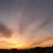 MNの画像