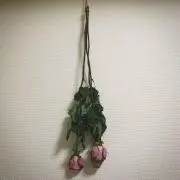 エル