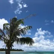姫【7/30-8/28発送不可】の画像
