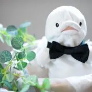 ちあまるの画像