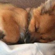 ミナコ