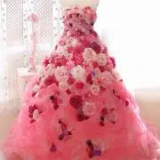 にーにの画像