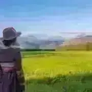 chillの画像