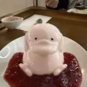 みっぴの画像
