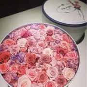 HANA♡の画像