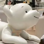 co.yu.の画像