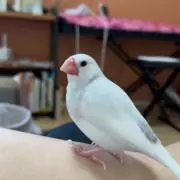 まつみ