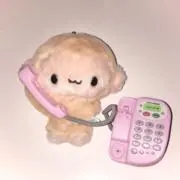완숭이の画像