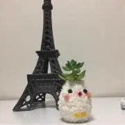 MOMOCHIの画像