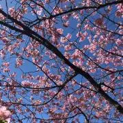 y［プロフィールの一読をお願いします］の画像