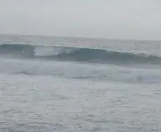 surf loverの画像
