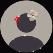 ♡̷︎聖羅♡̷︎
