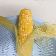 なぎパパの画像