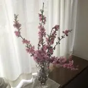 ぴのーるの画像