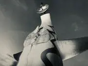 たにの画像