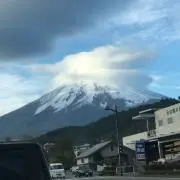 まゆみ