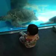 門きち