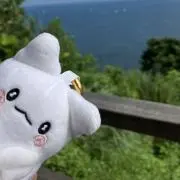 ちゃむ！（はなまるおばけが出ない…の画像